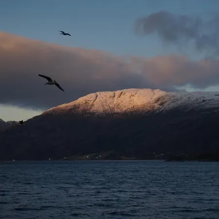 Hardanger Fjord