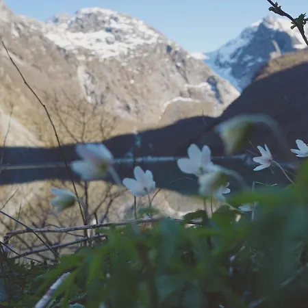 Hardanger Fjord